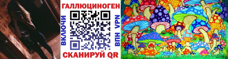 Псилоцибиновые грибы Psilocybine cubensis  где продают наркотики  Ясный 